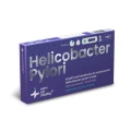 Helicobacter pylori front.png